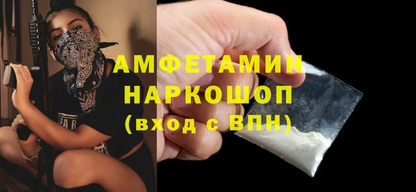 амф Щигры
