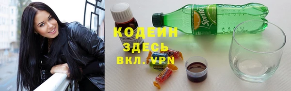 амф Щигры