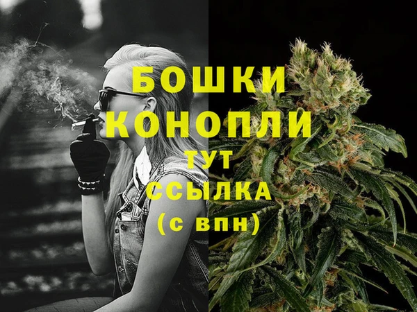 прущий лед Щучье