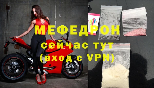 амф Щигры