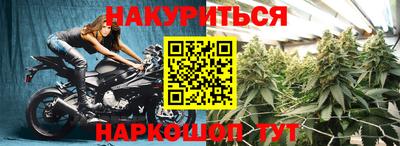индика Лесосибирск