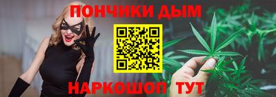индика Лесосибирск
