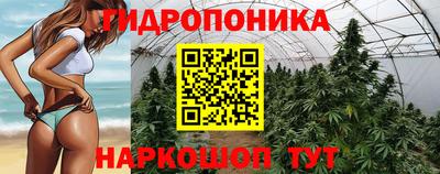 дурь Ливны