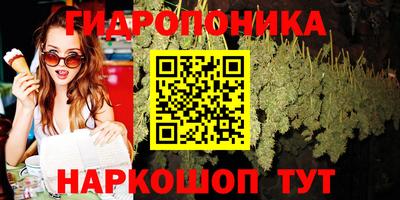 индика Лесосибирск