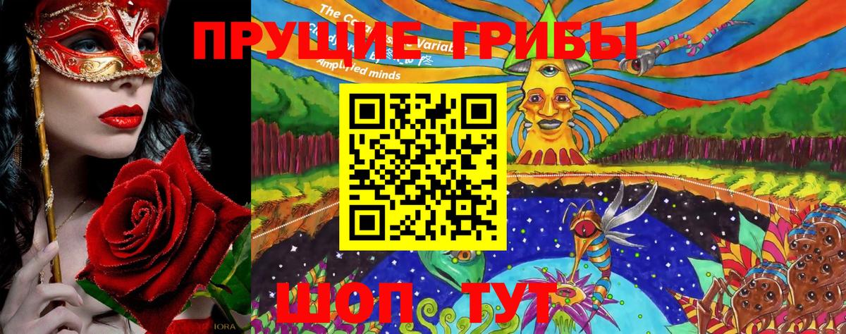 Псилоцибиновые грибы Cubensis  Вход с VPN  Чусовой 