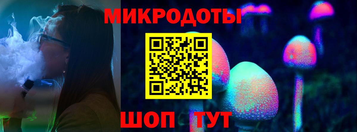 Галлюциногенные грибы Psilocybe Чусовой